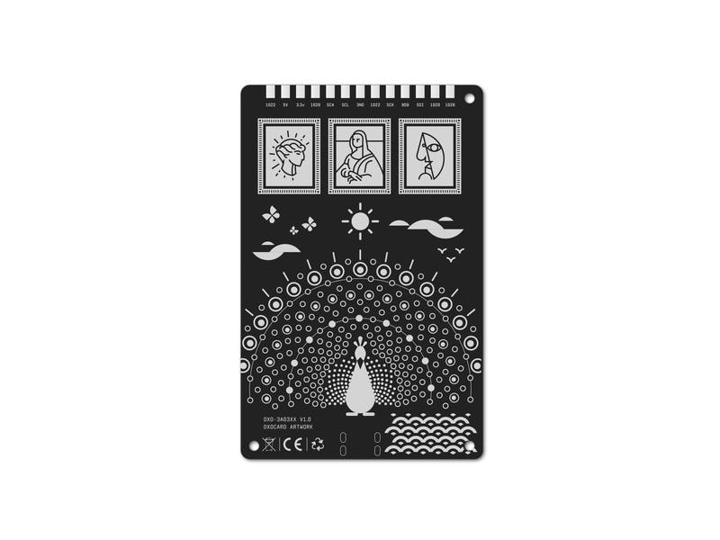 OXON Entwicklerboard Oxocard mini Combo Oxocard ist ein interaktiver, programmierbarer Minicomputer im Kreditkartenformat