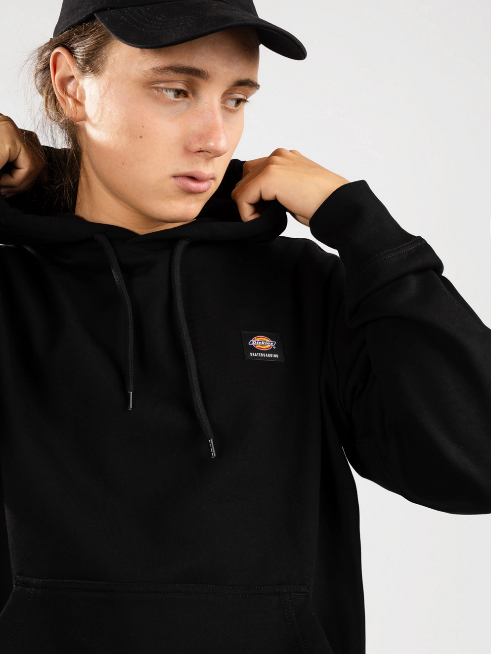 Dickies Mount Vista Hoodie black