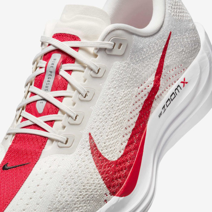 Pegasus Plus Herre 003/Platinum Tint/Phantom/Black/University Red