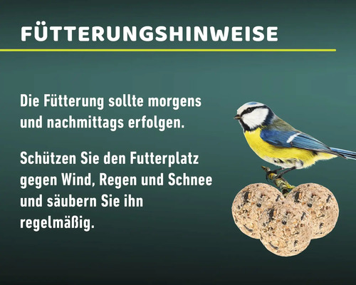Vogelvoer Mr. Corn vetbollen, 100 stuks zonder net in kartonnen doos, vogelvoer voor het hele jaar, Ambrosia-gecontroleerd, Gemaakt in Duitsland