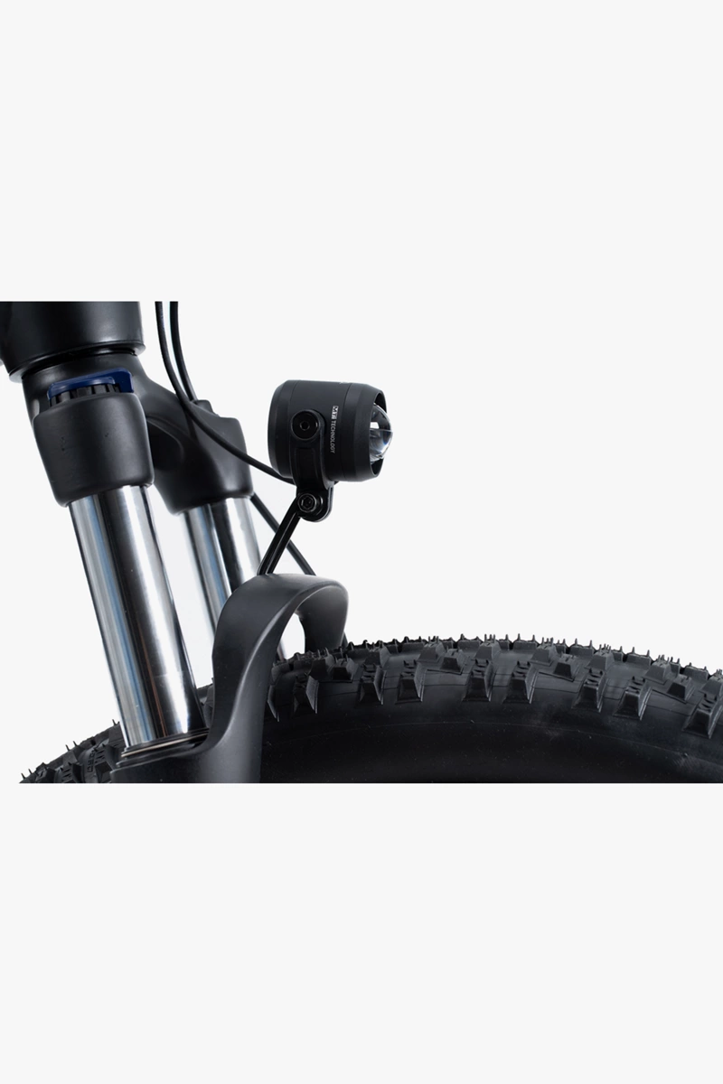 ACID E-Bike PRO-E 110 Frontlicht