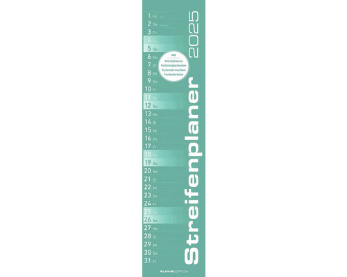 Mint strip planner 2025 11,3x49,5 cm