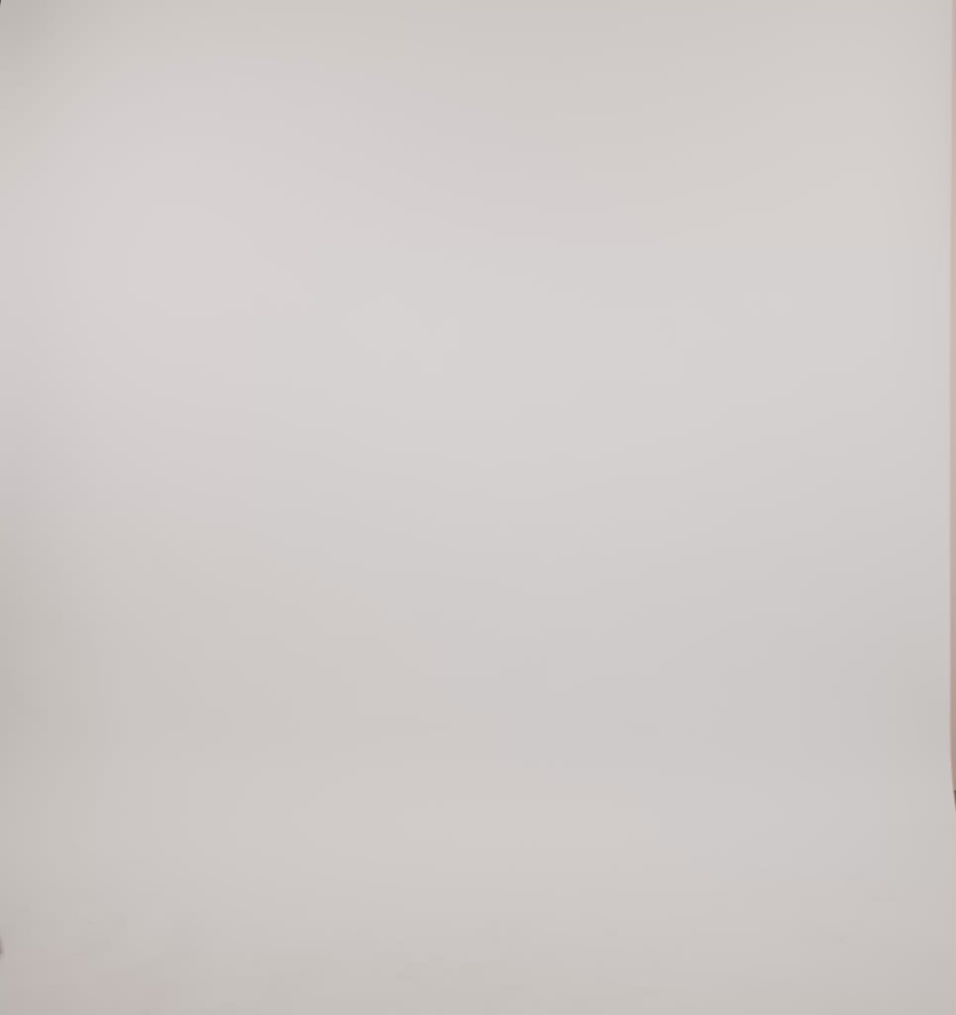 COTTON<br>Core Straight Leg Pants