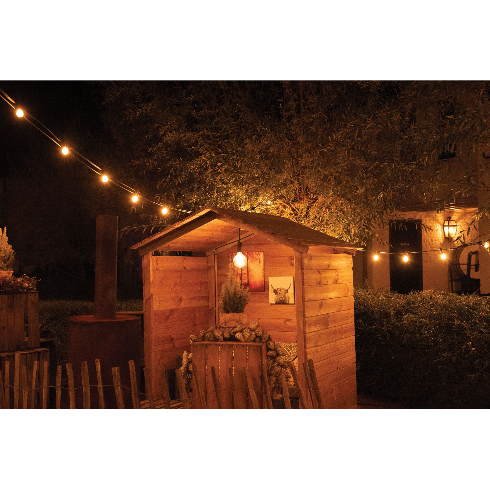 Showgear Festoon Light E27 prikkabel, 50 m en 100 fittingen, wit