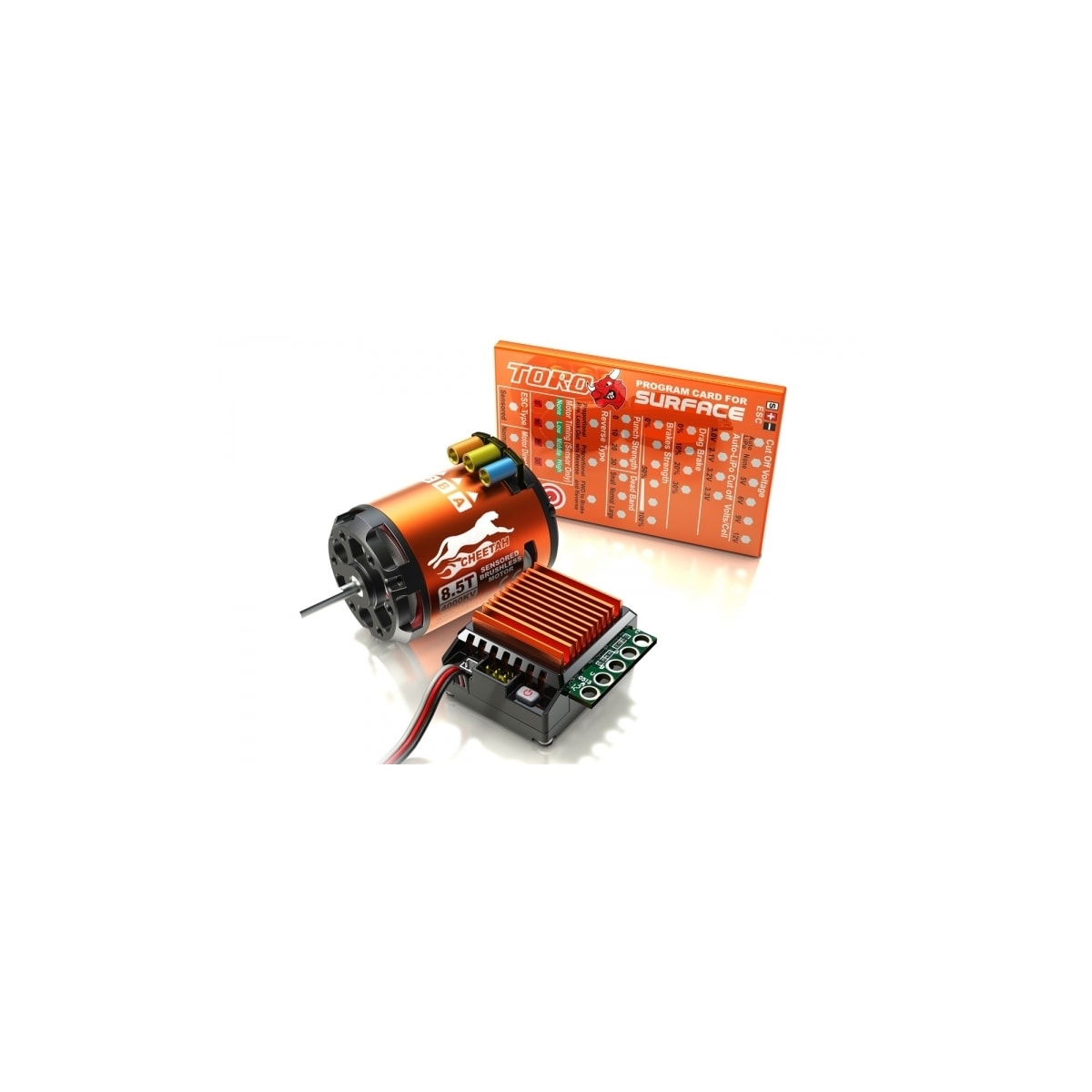 SkyRC Cheetah 1/10 BL Sensor sett 4000KV 8.5T