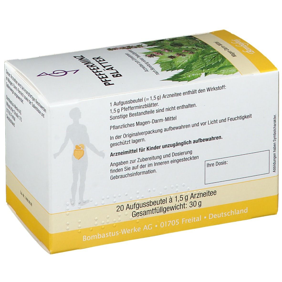 PFEFFERMINZBLÄTTER