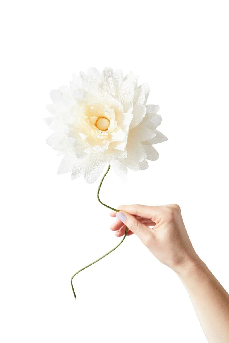 Studio About  Grand Dahlia papirblomst - sand