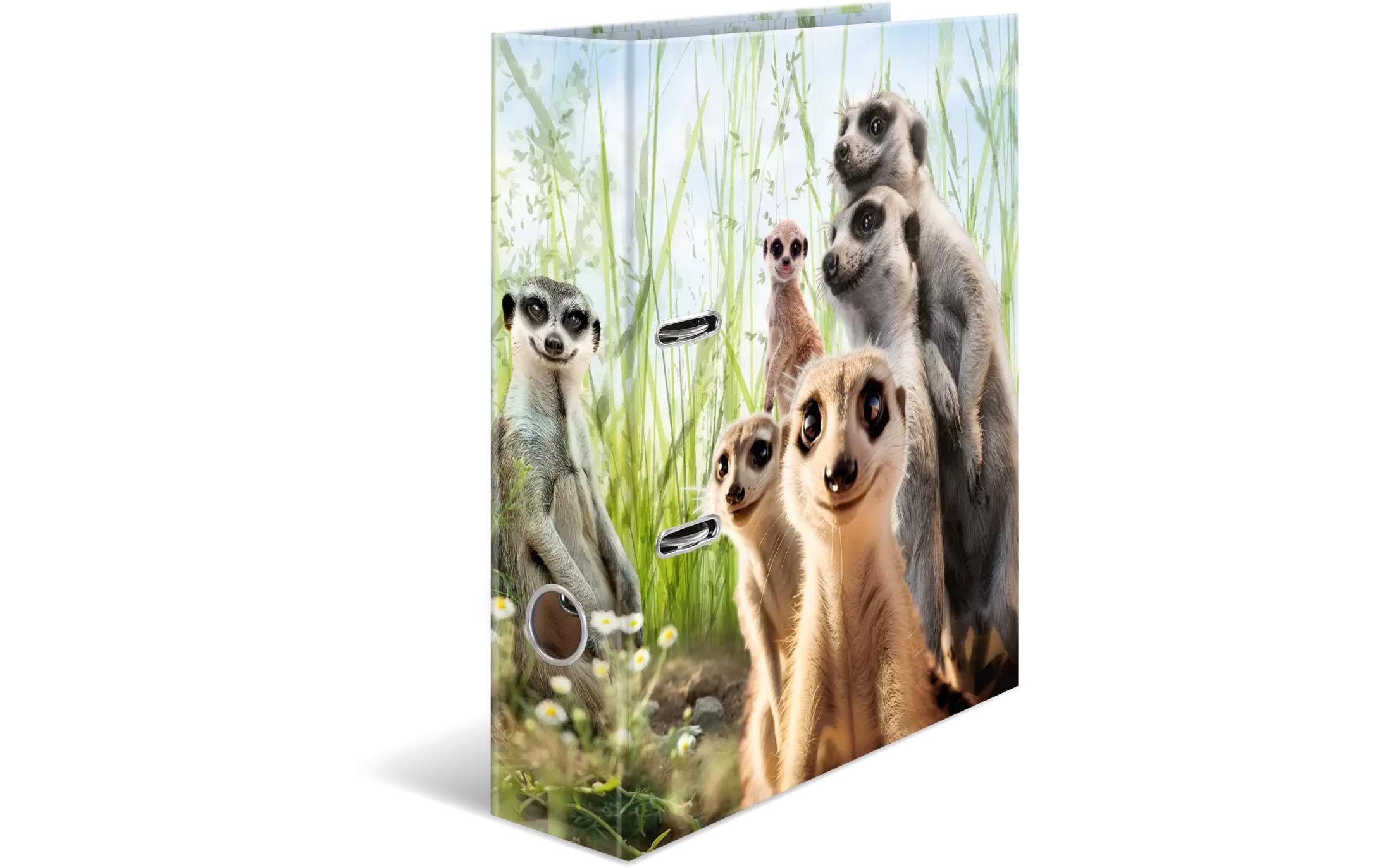 Ordner Erdmännchen 7 cm, MehrfarbigMotiv-Ordner in DIN A4 Format