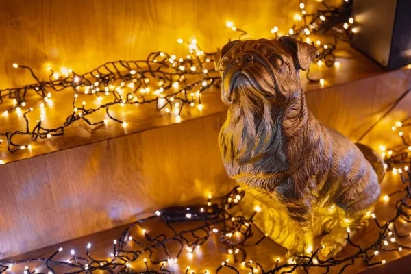 Twinkly -
