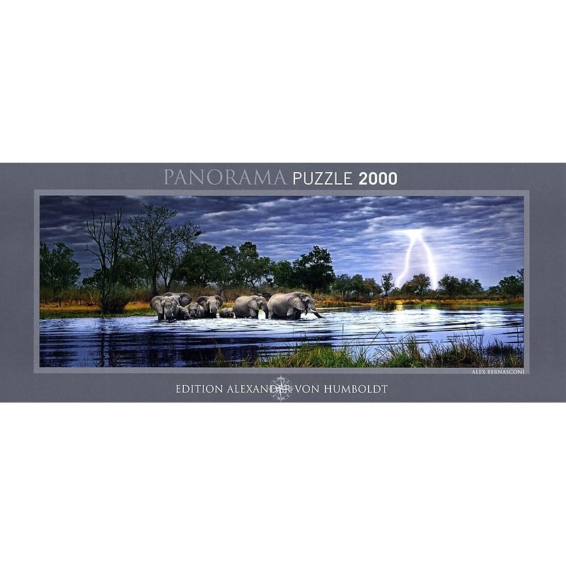 Puzzle - Herd of Elephants - 2000 pièces