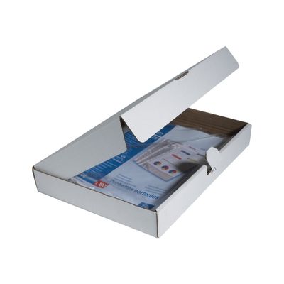 Exacompta - 100 Pochettes perforées - A4 - lisse 6/100