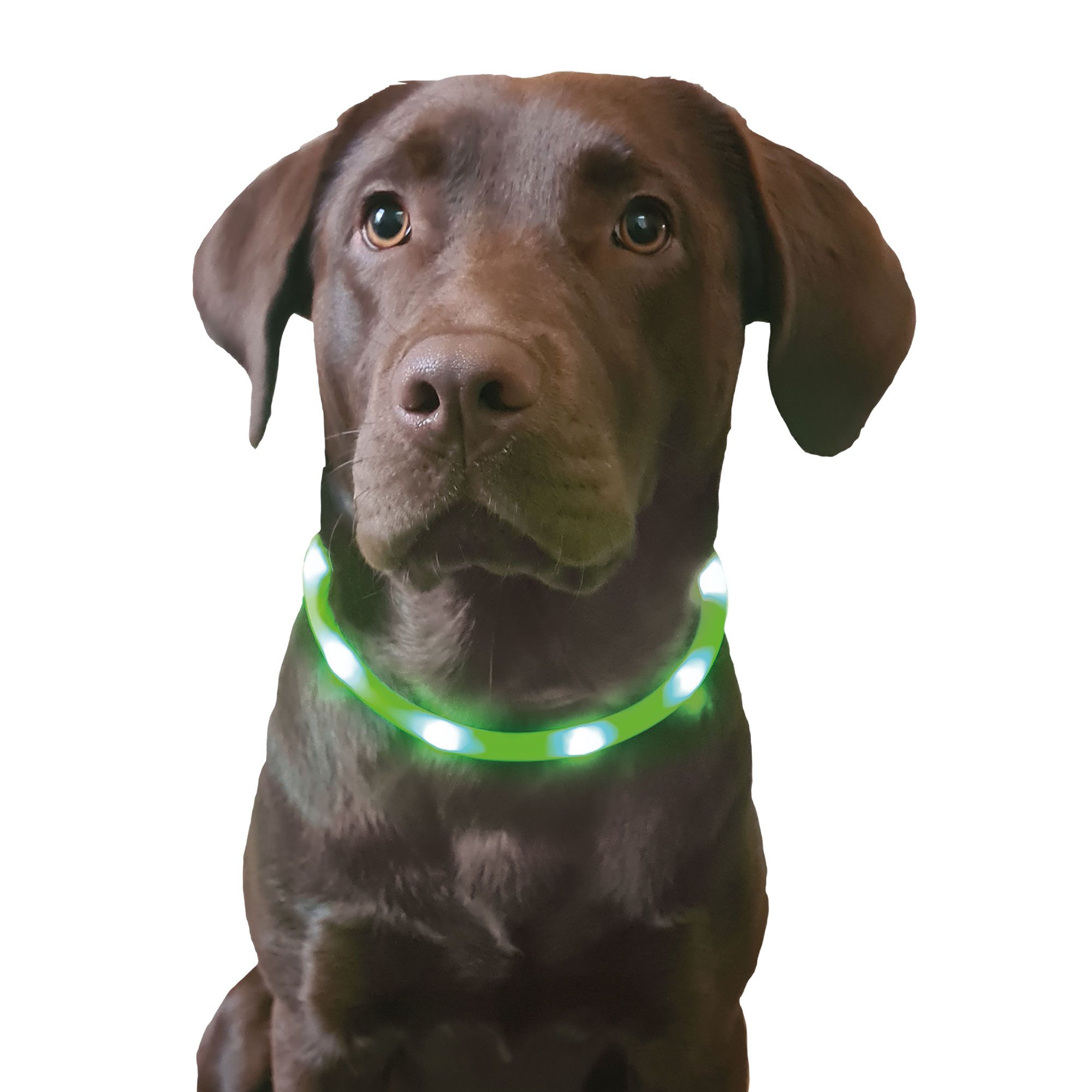 Karlie Visio Light LED Schlauchhalsband für Hunde