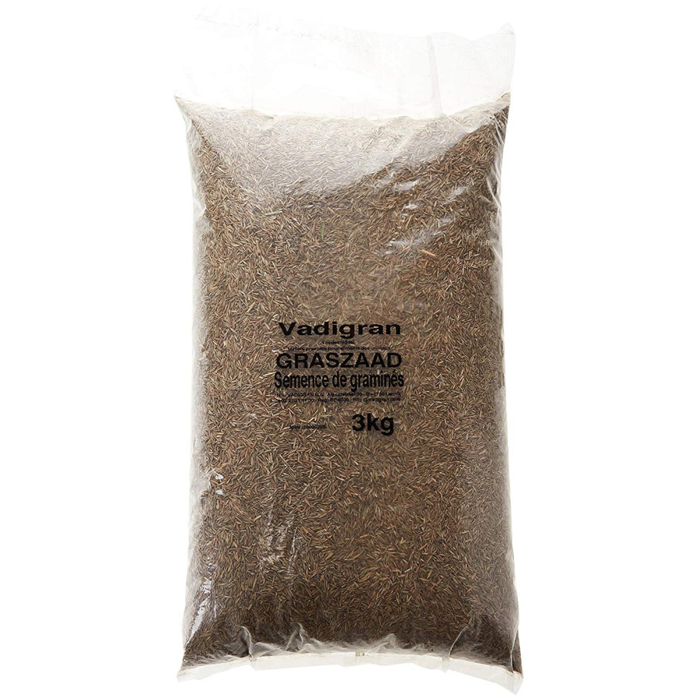 Graines pour oiseaux semences d'herbe 3kg