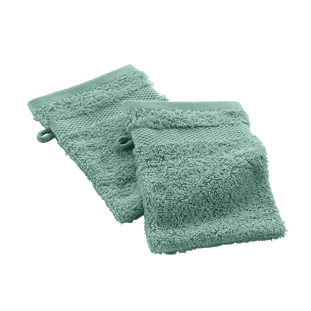 Lot de 2 gants de toilette céladon 15x21cm