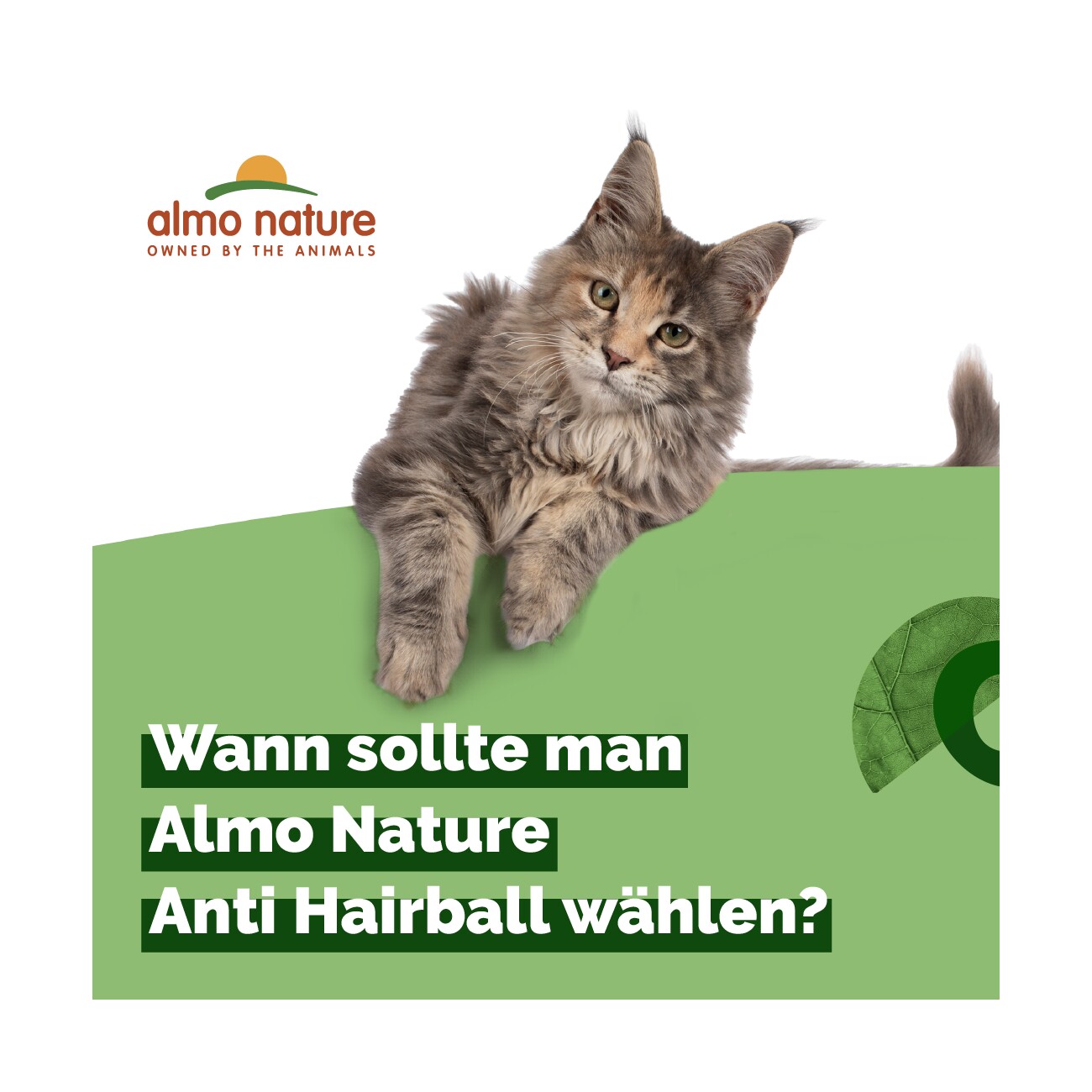 Almo nature Almo Holistic Anti Hairball Multipack 6x70 g mit Rind & Huhn