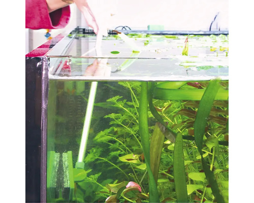 JBL Blanki 45 cm glasreiniger met handvat