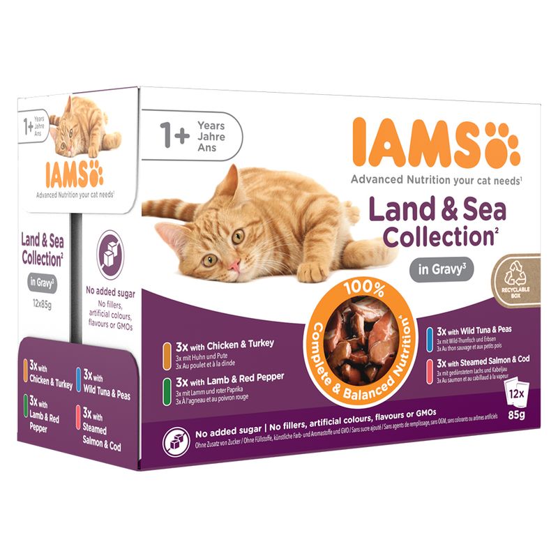 IAMS Delights Adult en sauce 12 x 85 g