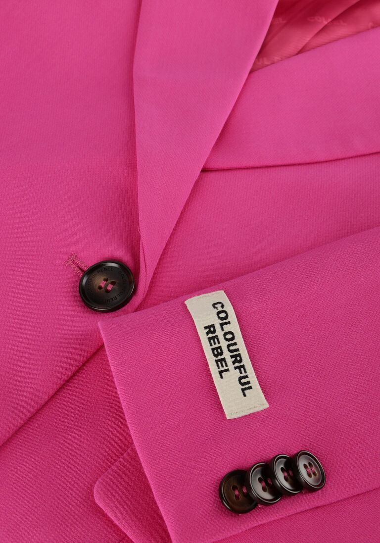 COLOURFUL REBEL roze colourful rebel blazer rikki uni boyfriend blazer