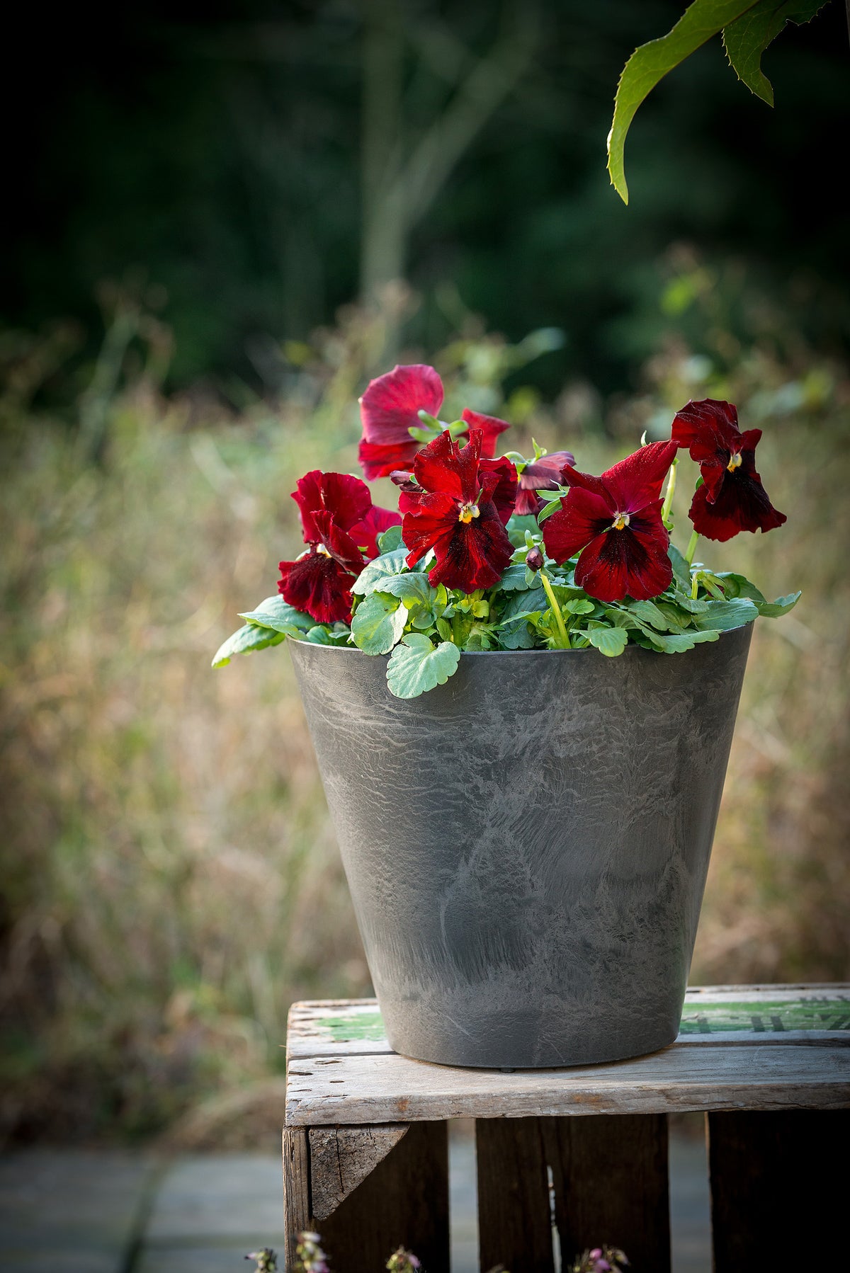 Artstone bloempot Claire D22 H20 cm zwart