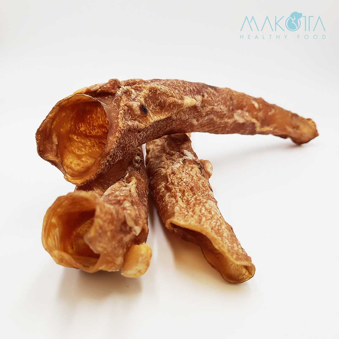 Aorta bovina (1 unidade)