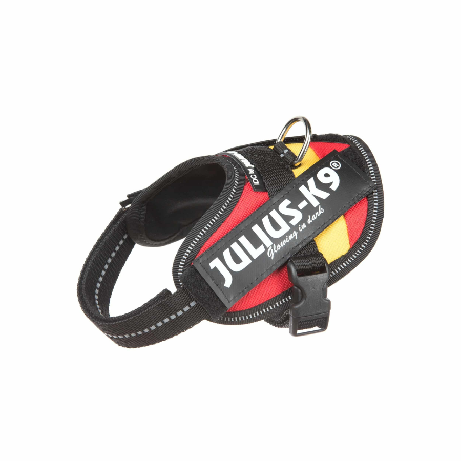 Coleira ergonômica Julius K9 Spain para cães, vermelha e amarela.