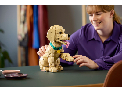 LEGO Golden retriever puppy (11384)
