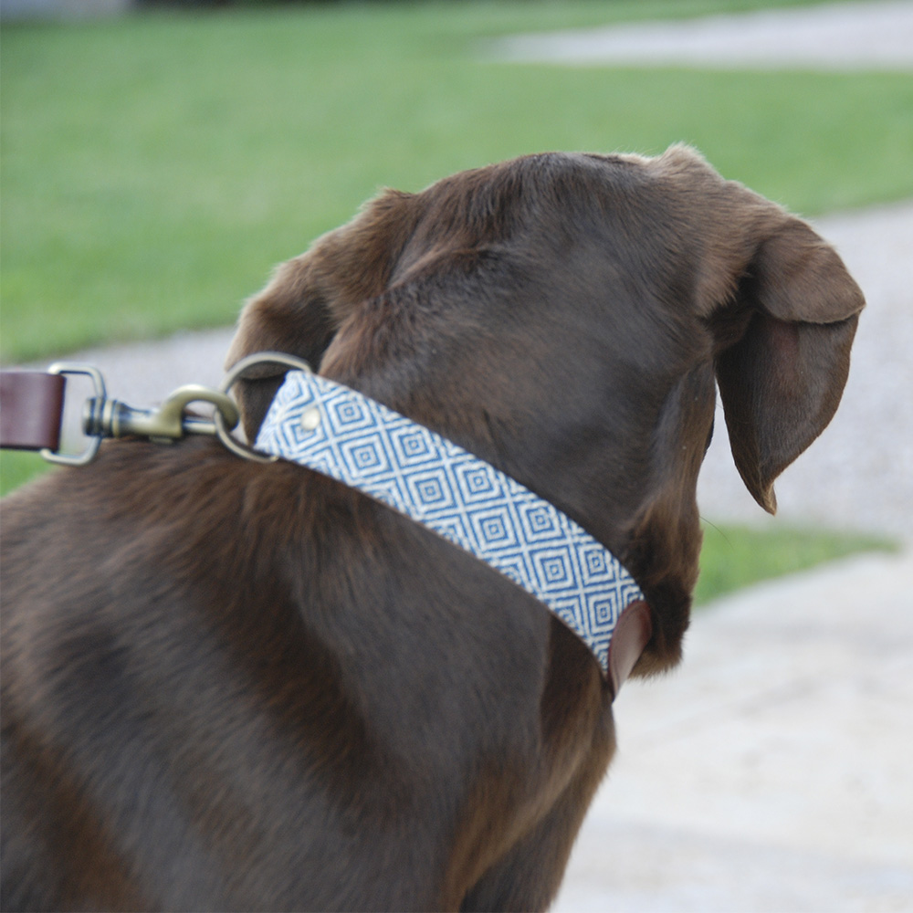 Coleira Barking Gaucho Dalton feita à mão para cães