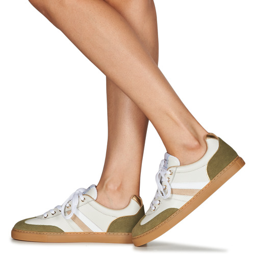 Serafini - COURT - Beige / Kaki