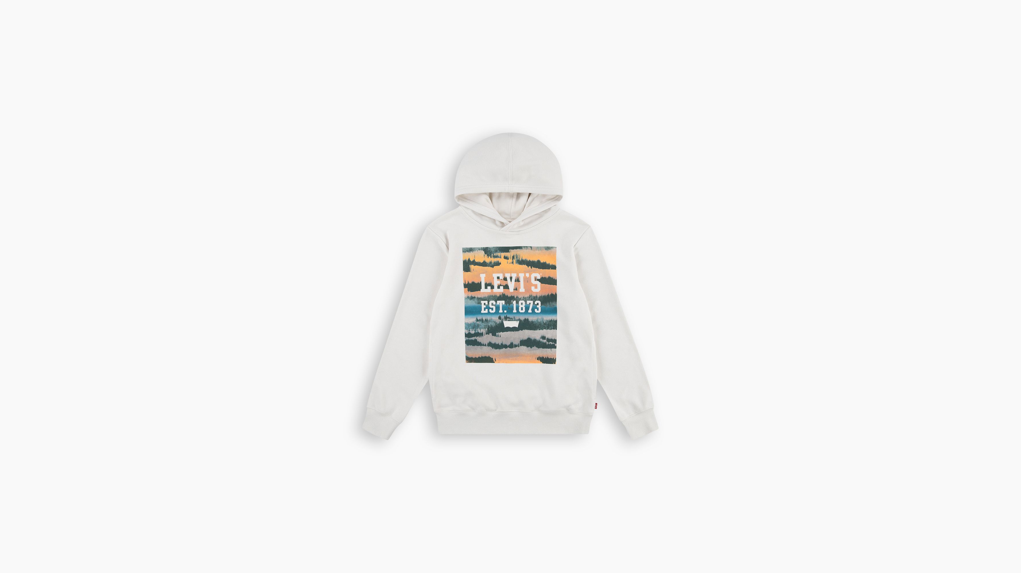 Ado sweat à capuche Landscape Box - Birch - Beige