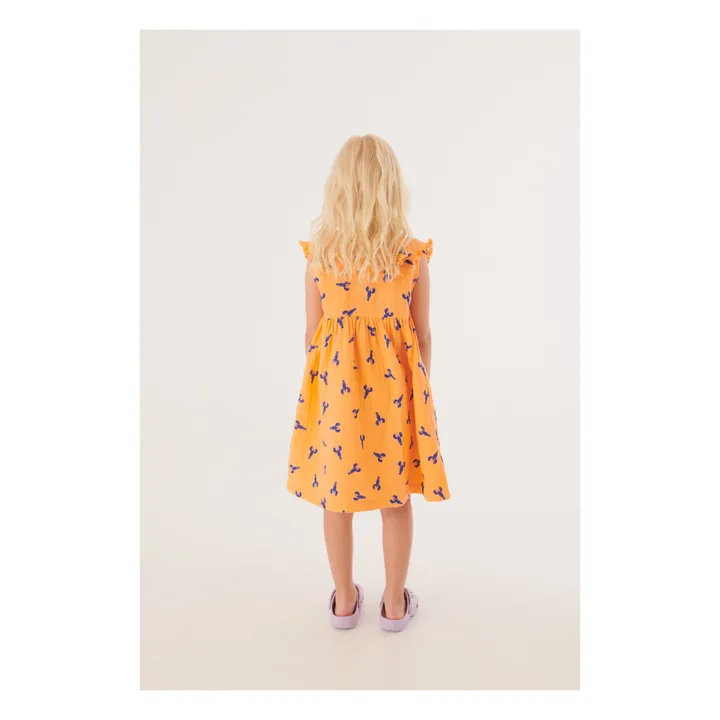 Letter To The World Robe Istanbul Coton Bio | Abricot
