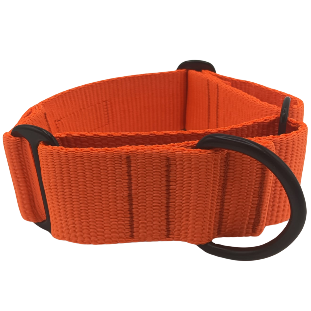 EGV - Coleira Martingale. Coleira artesanal para galgo, fabricada na Espanha (Laranja)