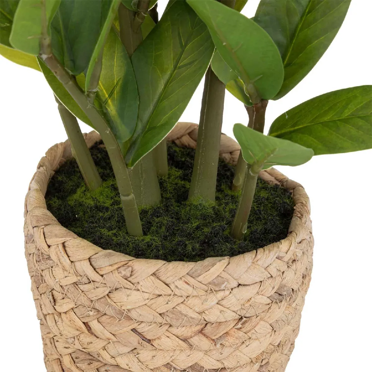 Atmosphera, Createur D'Interieur Zamioculcas artificiel avec pot - H.41 cm