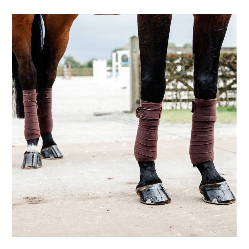 Kentucky PEARLS - Bandes de polo x4 brown