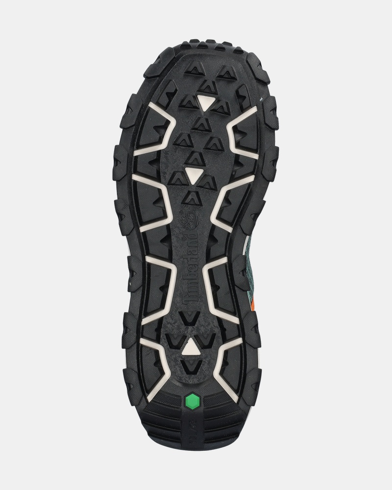 Timberland Winsor Trail Lage sneakers  - groen