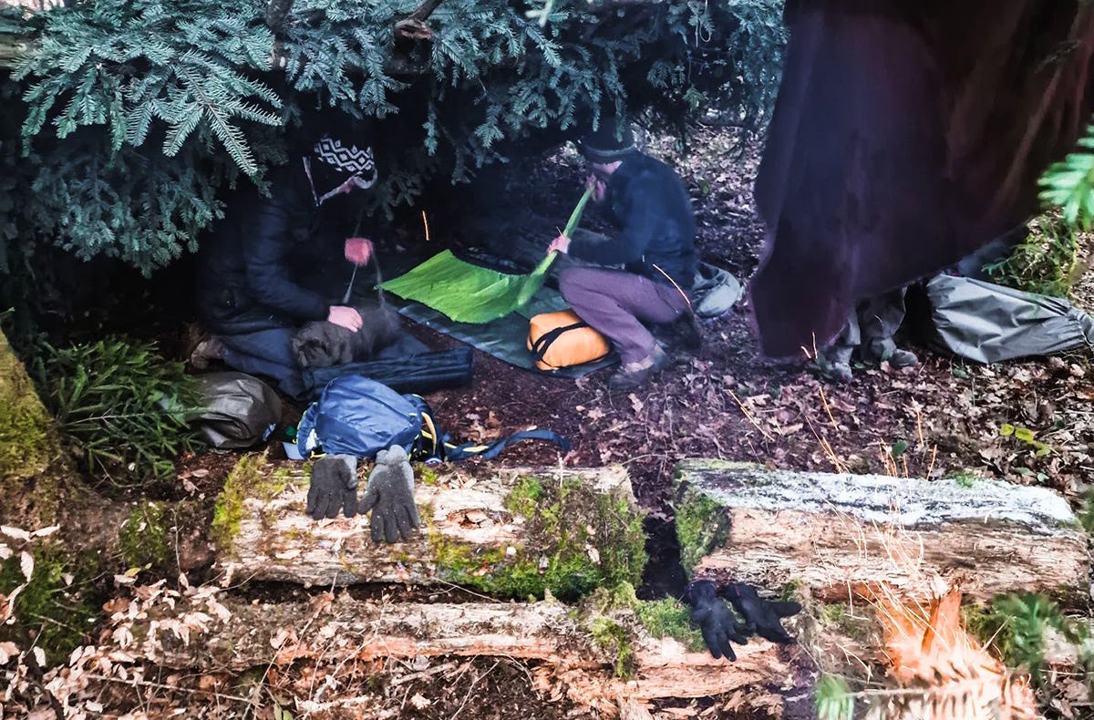 Wildnis Kochkurs Zwingen