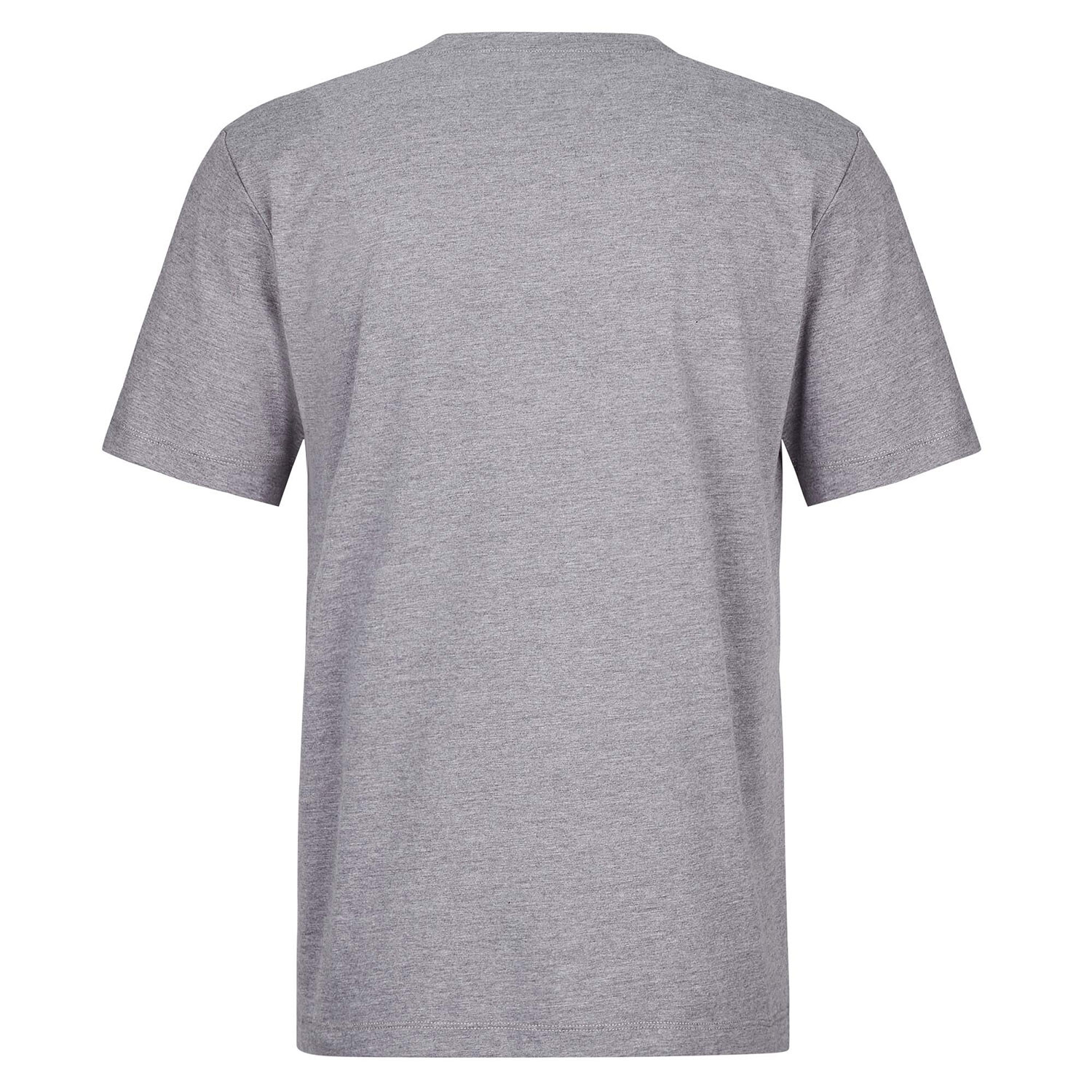 Frilufts Mens Reykholt Printed T-shirt