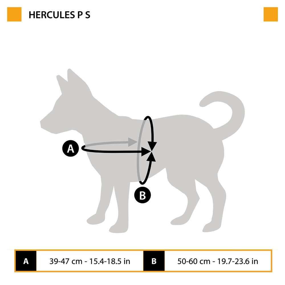 Harnais pour chiens hercules small, rembourré, résistant, anti-griffures, visible dans l'obscurité, avec poignée