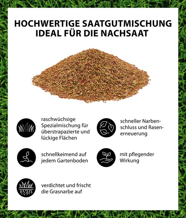 Dehner Rasen-Nachsaat