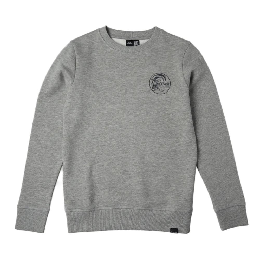 O'Neill Sweat Gris Garçon O'Neill Circle Surfer