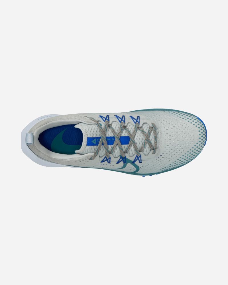 Chaussures de trail Nike Pegasus Trail 4 Blanc pour homme