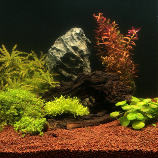 Substrat naturel Manado 10L