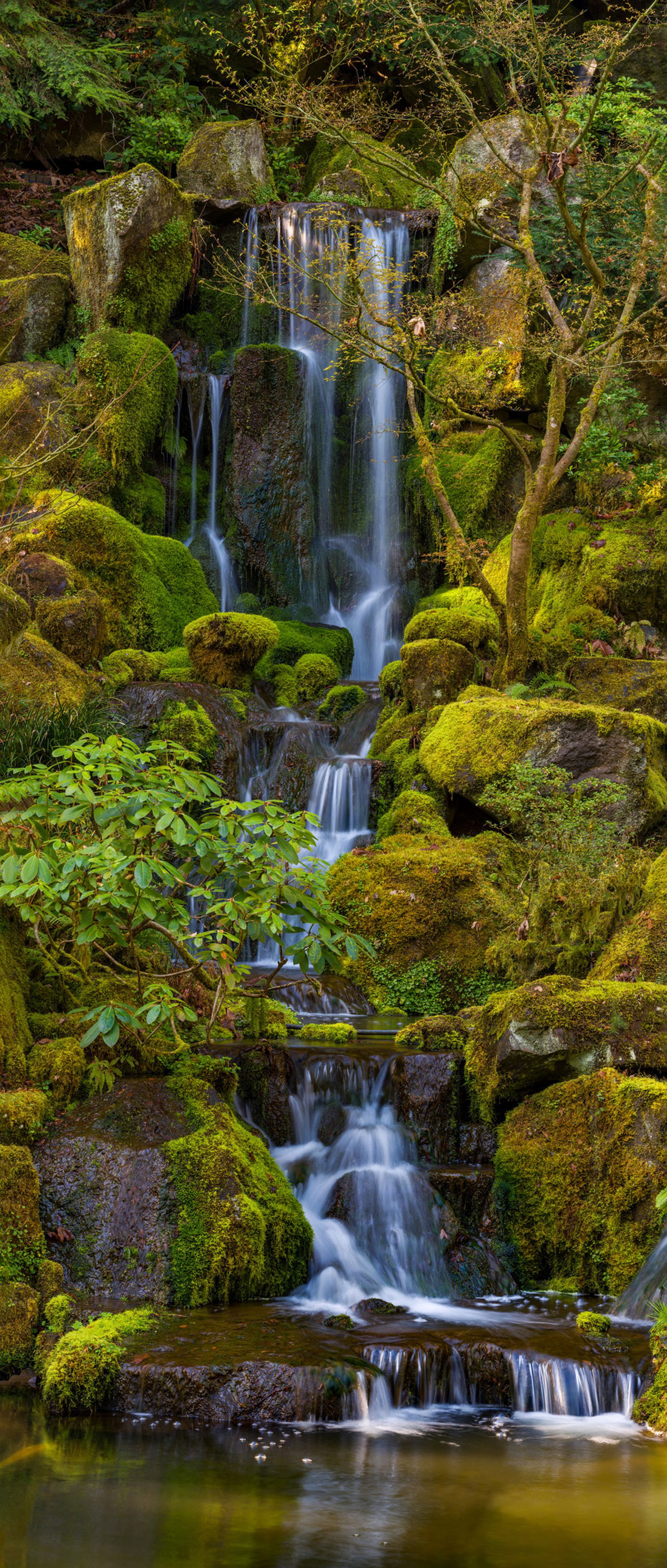 Heavenly Falls by Roman Johnston - Limited Edition. Edition of: 150. Signed.
