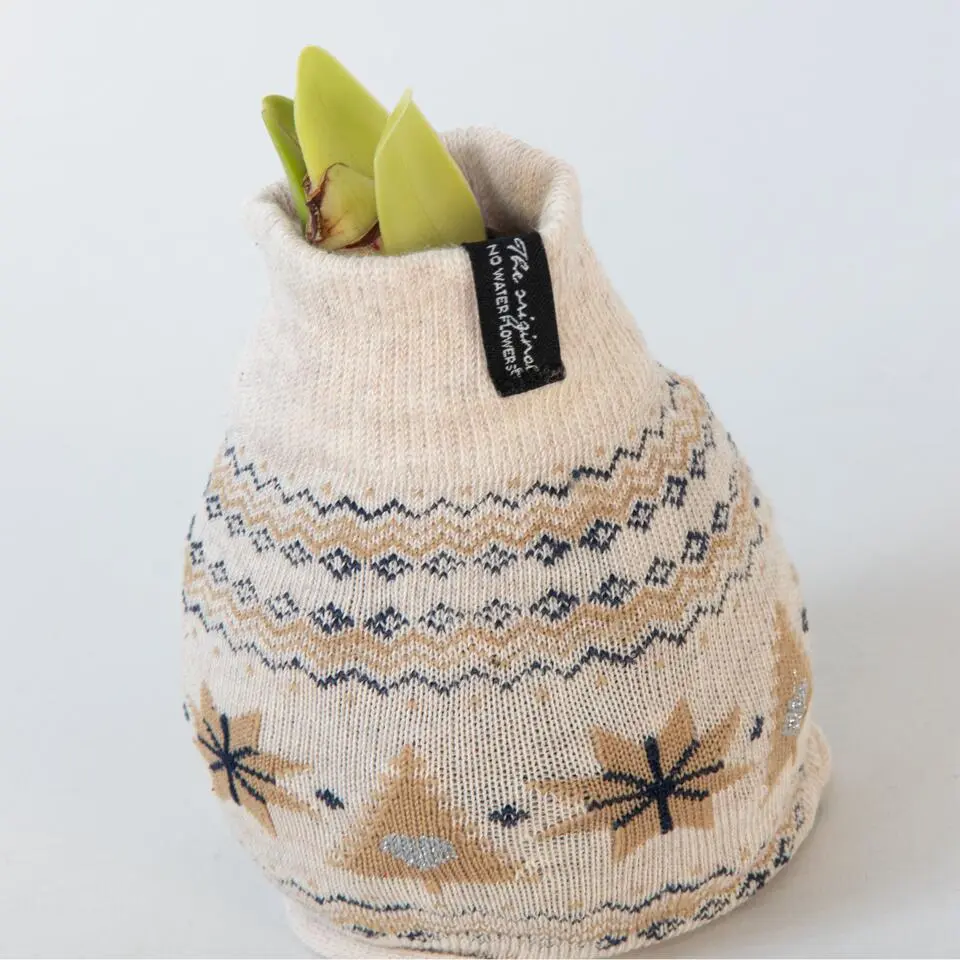 Amaryllis - Set van 3 - Hippeastrum 'Christmas Sweater' - Bloembol - Rood