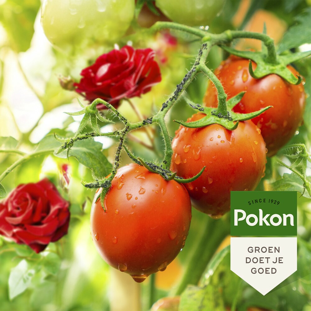 Pokon Tegen Insecten Spray Polysect GYO Spray Biologisch800 ml