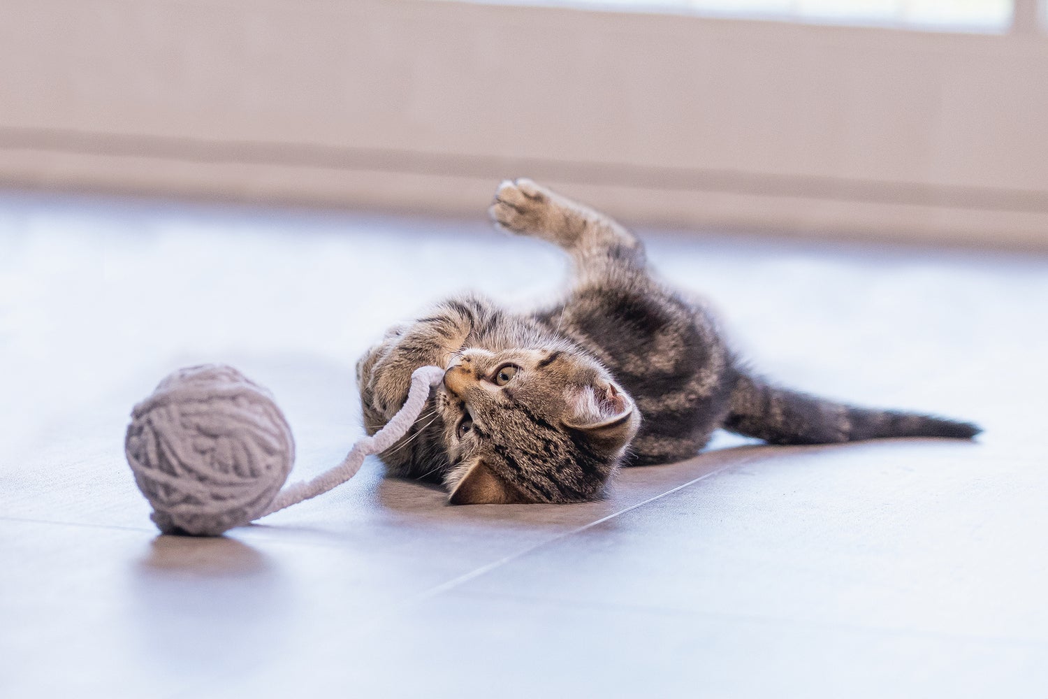 Beeztees kattenspeelgoed speelbal met koord grijs D 6,5 H 35 cm
