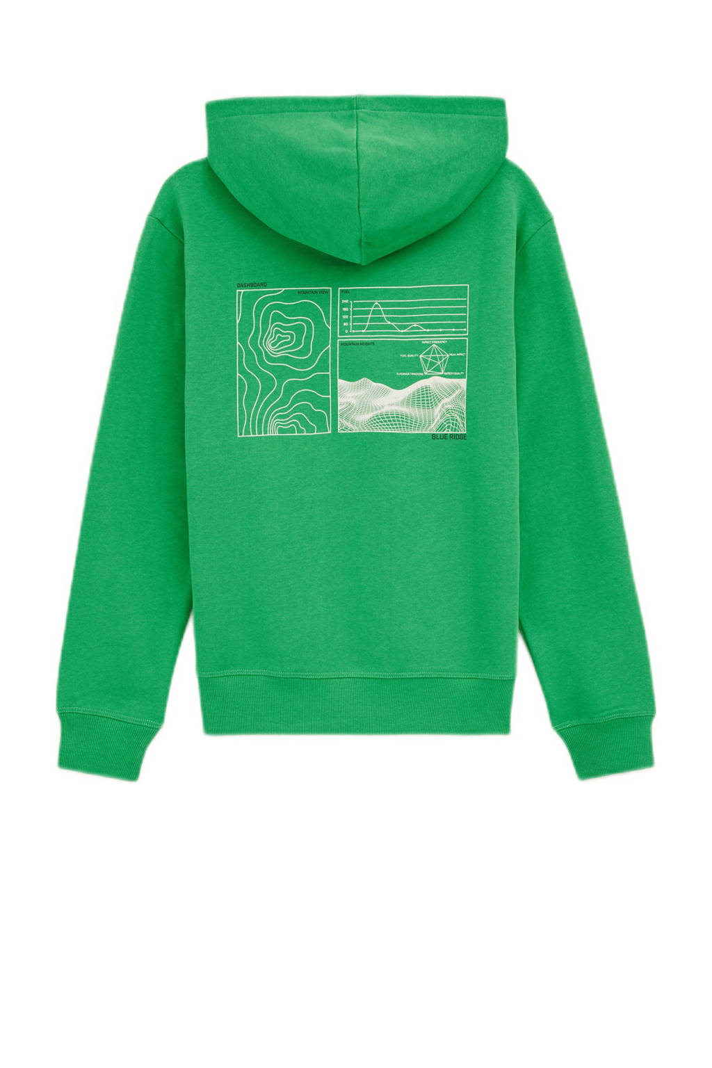 WE Fashion hoodie groen