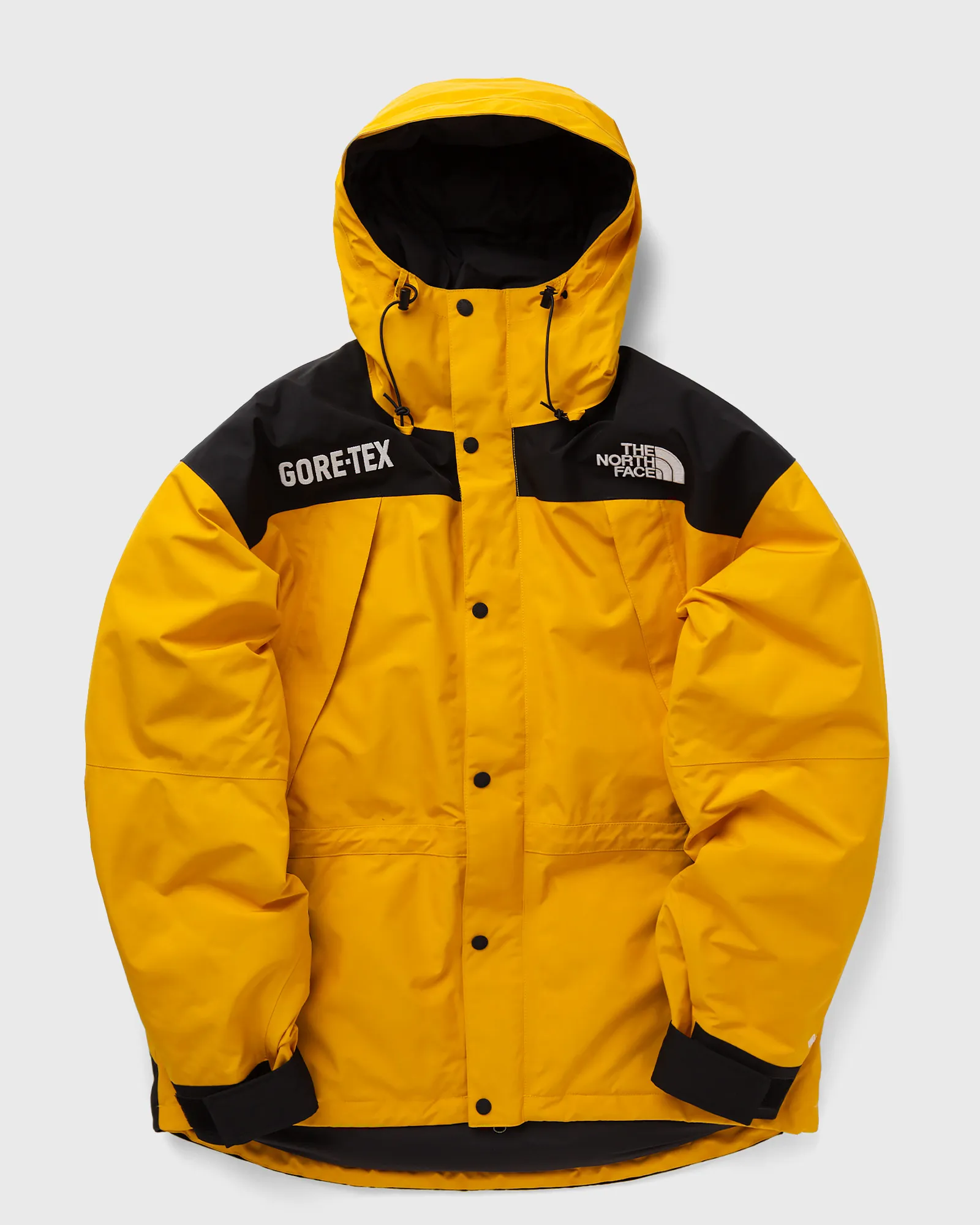 The North Face GTX Mtn Guide Insualted Jacket