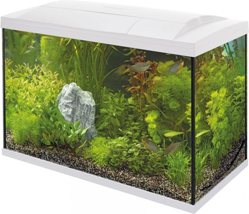 SuperFish aquarium Start 150 Tropical Kit wit 146 L