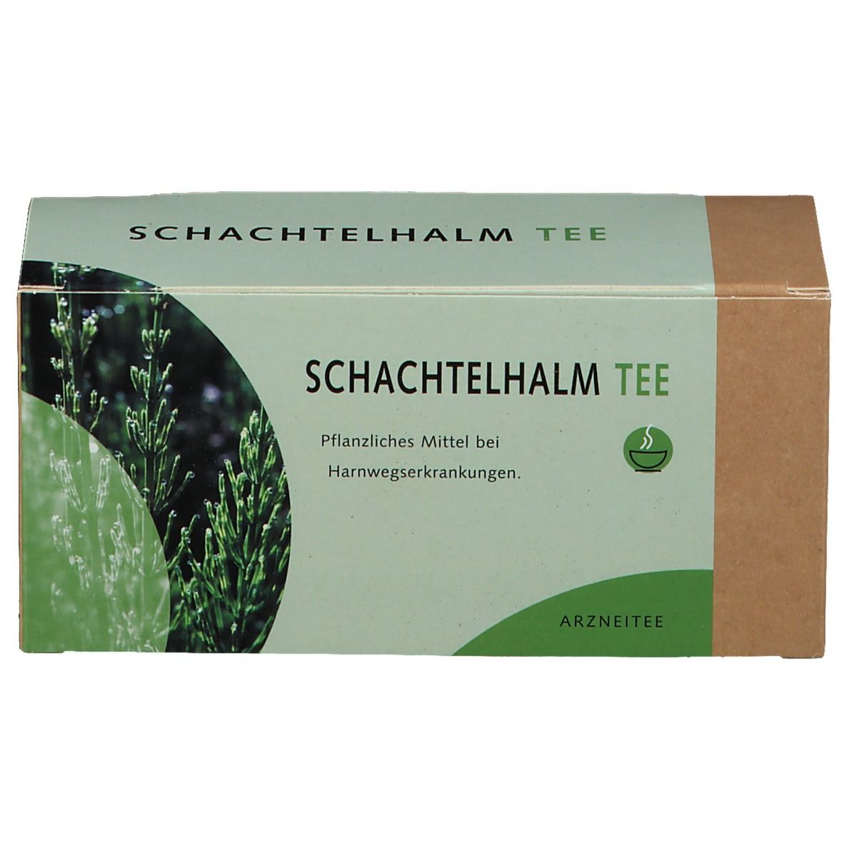 Schachtelhalmtee