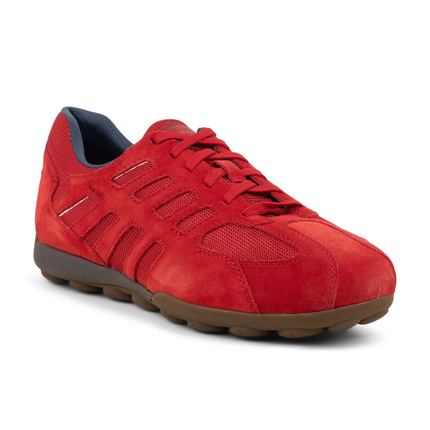 Baskets homme GEOX SNAKE 2.0